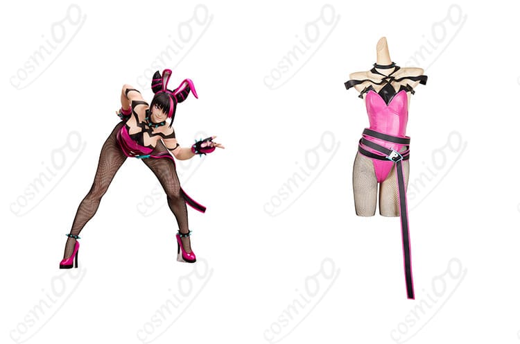 商品正面とハン・ジュリキャラクターが一緒に写ったコスプレ衣装の画像。ストリートファイター バニーVer.の高い再現度。