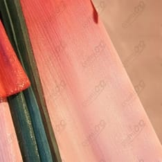 ラブライブ！SS 唐可可 星屑クルージング 上海ver. 高再現コスプレ衣装 - 5枚目の画像（サムネイル）