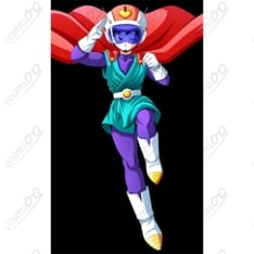 ドラゴンボール ビーデル グレートサイヤマン2号 コスプレ衣装 高品質フルセット - 1枚目の画像（サムネイル）
