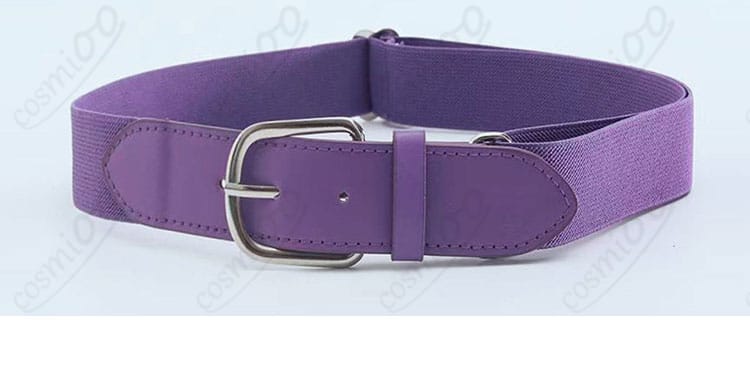 付属ベルトのアップ。バックルと質感が分かる。