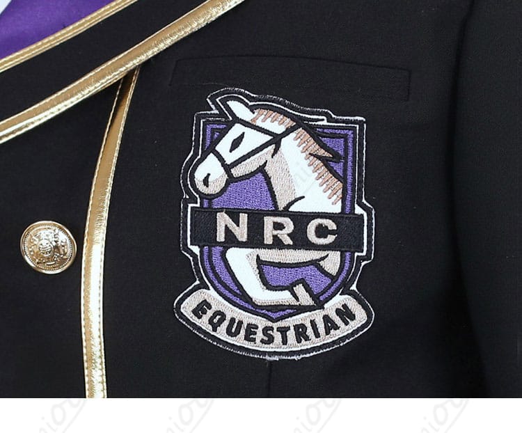 コート胸前のエンブレム装飾アップ。紋章の形状と質感。