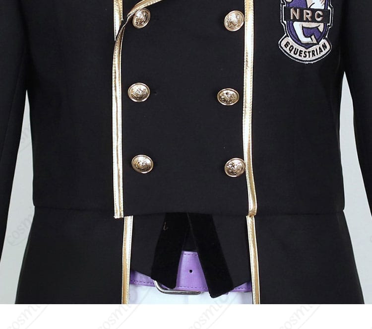 前立てのボタン装飾アップ。配置と光沢感が分かる。