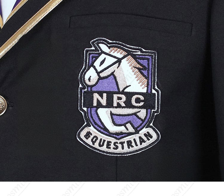 コート胸元の徽章デザインと取付位置のアップ