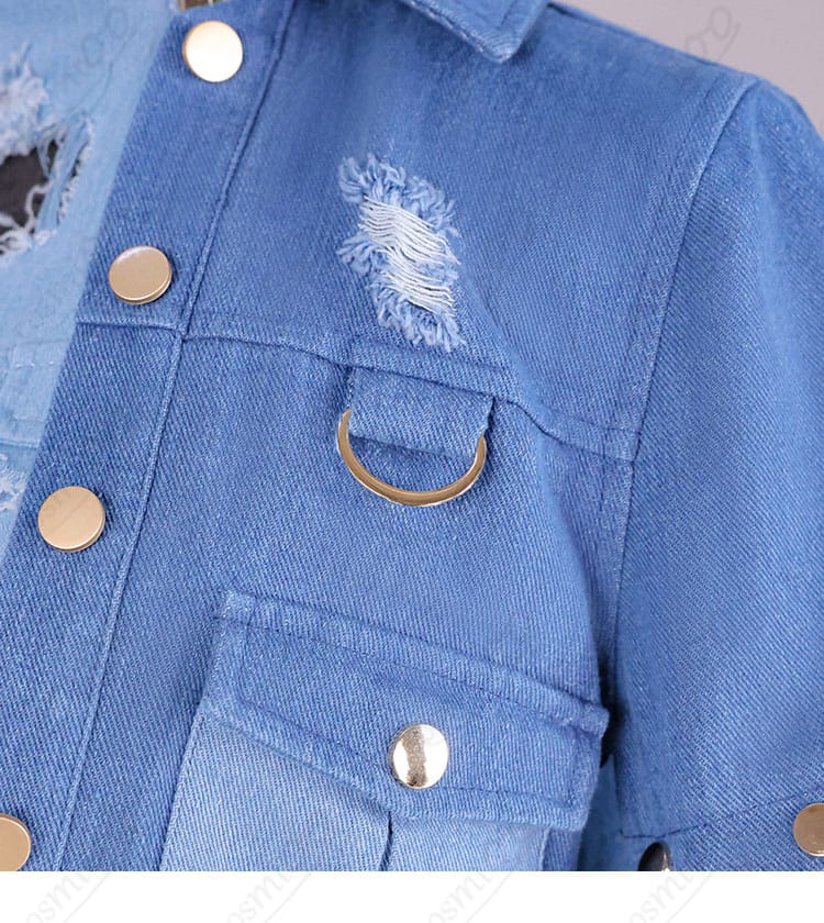 儒烏風亭らでん衣装 ジャケット胸元の装飾モチーフ