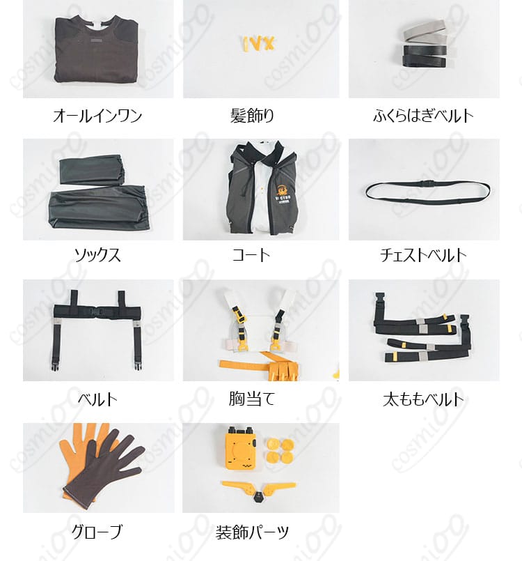 ヴェクターのコスプレ衣装11点セット内容