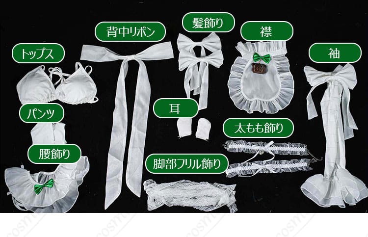 キングプロテア 水着風コスプレ衣装のトップスやパンツ、各種装飾のセット内容