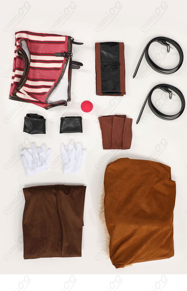 バギー コスプレ衣装のセット内容を紹介する画像。衣装全体と付属品が一目でわかる。